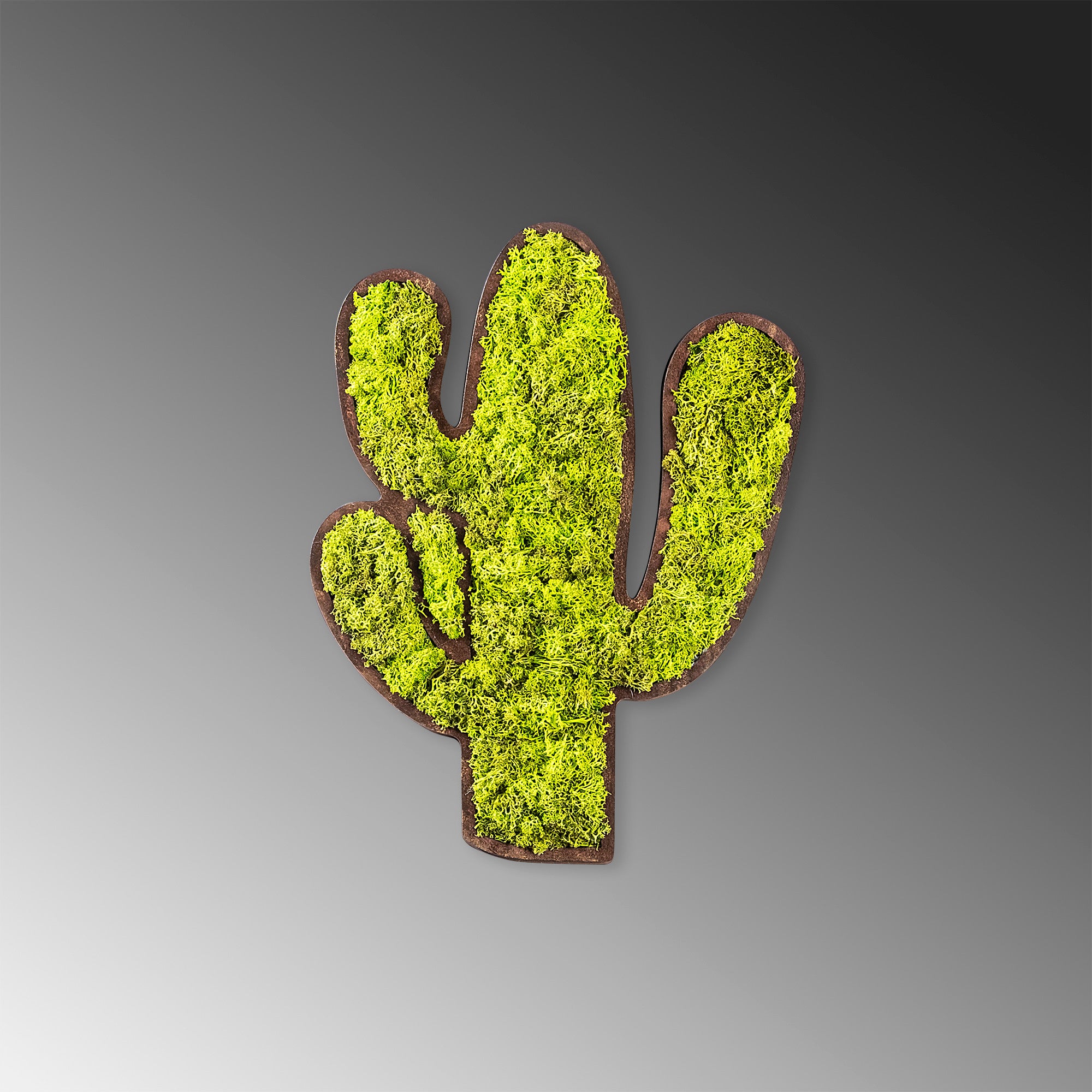 Accessoire mural décoratif Ornatio Cactus MDF Mousse Vert Blanc