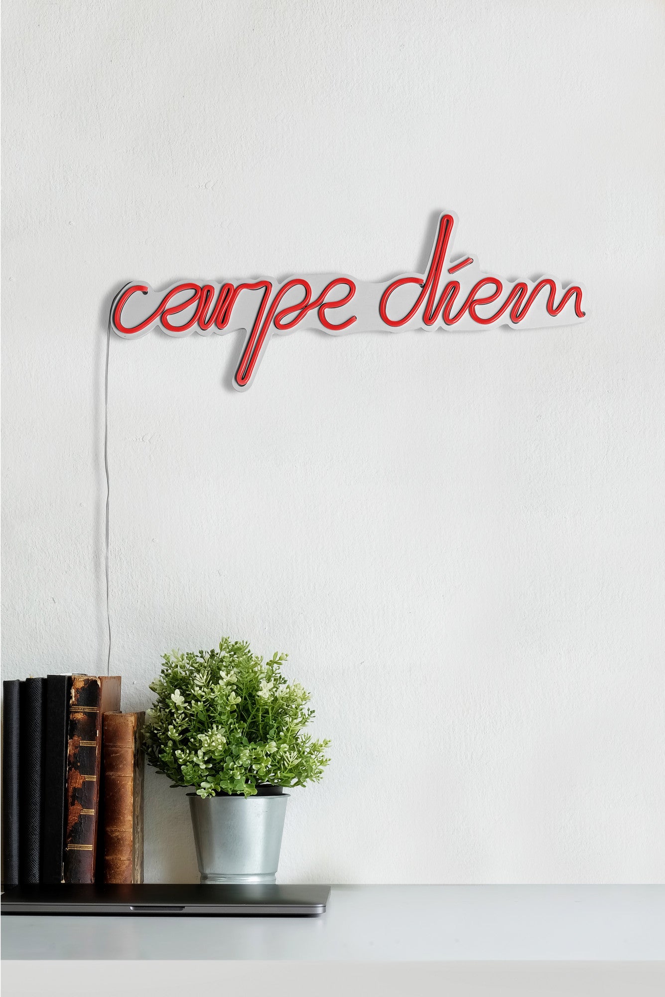 Lettrage mural Lucendi L52,5xH19,5cm "Carpe Diem" Néon Rouge