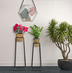 Ensemble de vases porte-vases métal doré et support métal noir