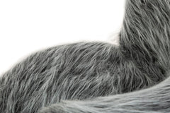ARMCHAIR HACIL GREY CM 73X64X77