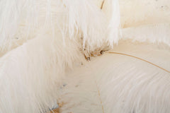 Lampe de table Palm Métal doré abat-jour plumes blanches