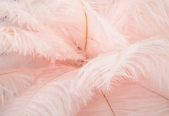 Lampe de table Palm métal doré abat-jour plumes roses