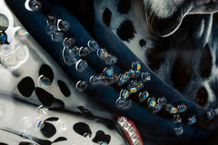 Tableau mural Chien Dalmatien avec cadre en bois et métal argenté