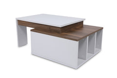 Table basse Kasbiel L90xP60cm Bois et Blanc